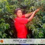 Cafeicultora Patrícia Aniceto Concurso Florada Café Especial 3 Corações