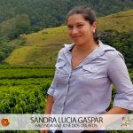 Cafeicultora Sandra Lucia Gaspar Concurso Florada Café Especial 3 Corações